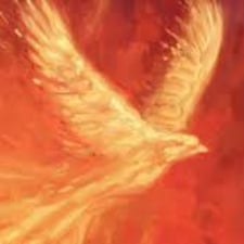 A dove representing the Holy Spirit